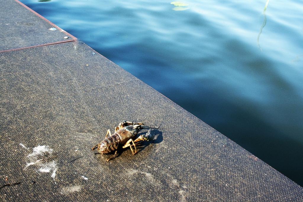 Apartamenty Jasmin I Lilia Jez. Sunowo Kolo Elku Chrzanowo Bagian luar foto